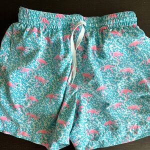 Chubbies Lined Swim Trunks (Medium)